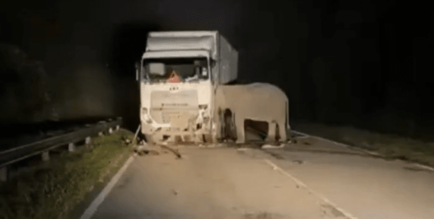 KKR pasang lampu di 39 lokasi hotspot lintasan gajah liar – kos RM4j; lampu LED diguna pada papan amaran